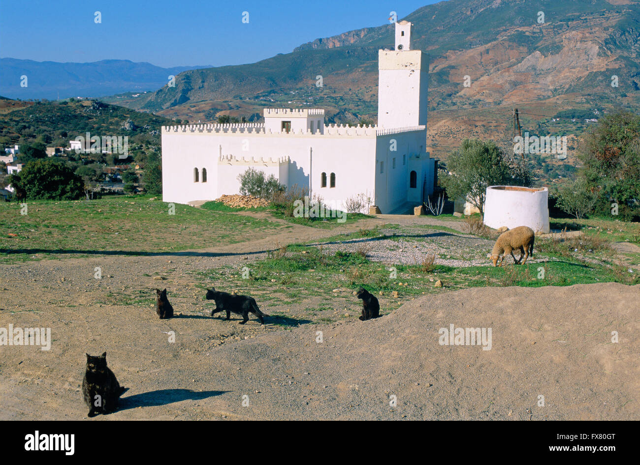 Marokko. RIF-Region. Chat Stockfoto