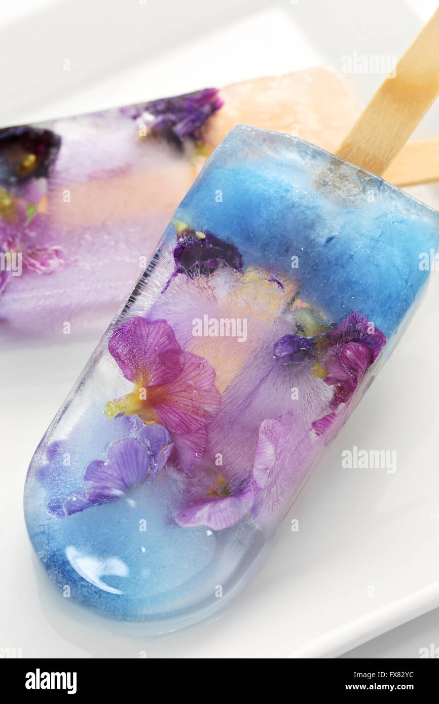 hausgemachte essbare Blume Eis Pop, isoliert auf weißem Hintergrund Eis am Stiel Stockfoto
