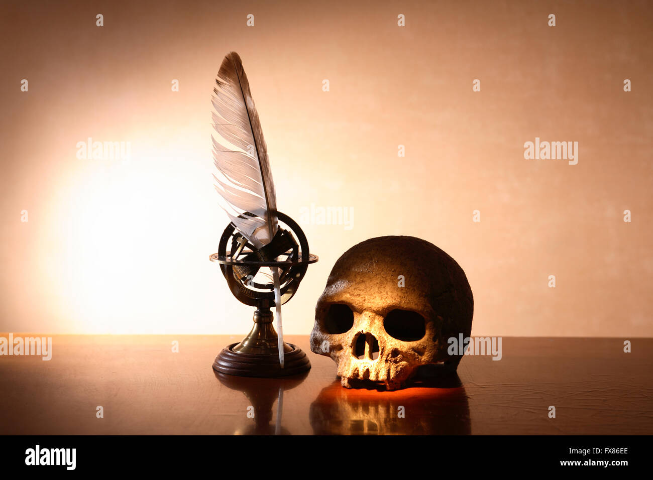 Memento Mori. Menschlicher Schädel auf Tisch in der Nähe von Federkiel unter Lichtstrahl Stockfoto