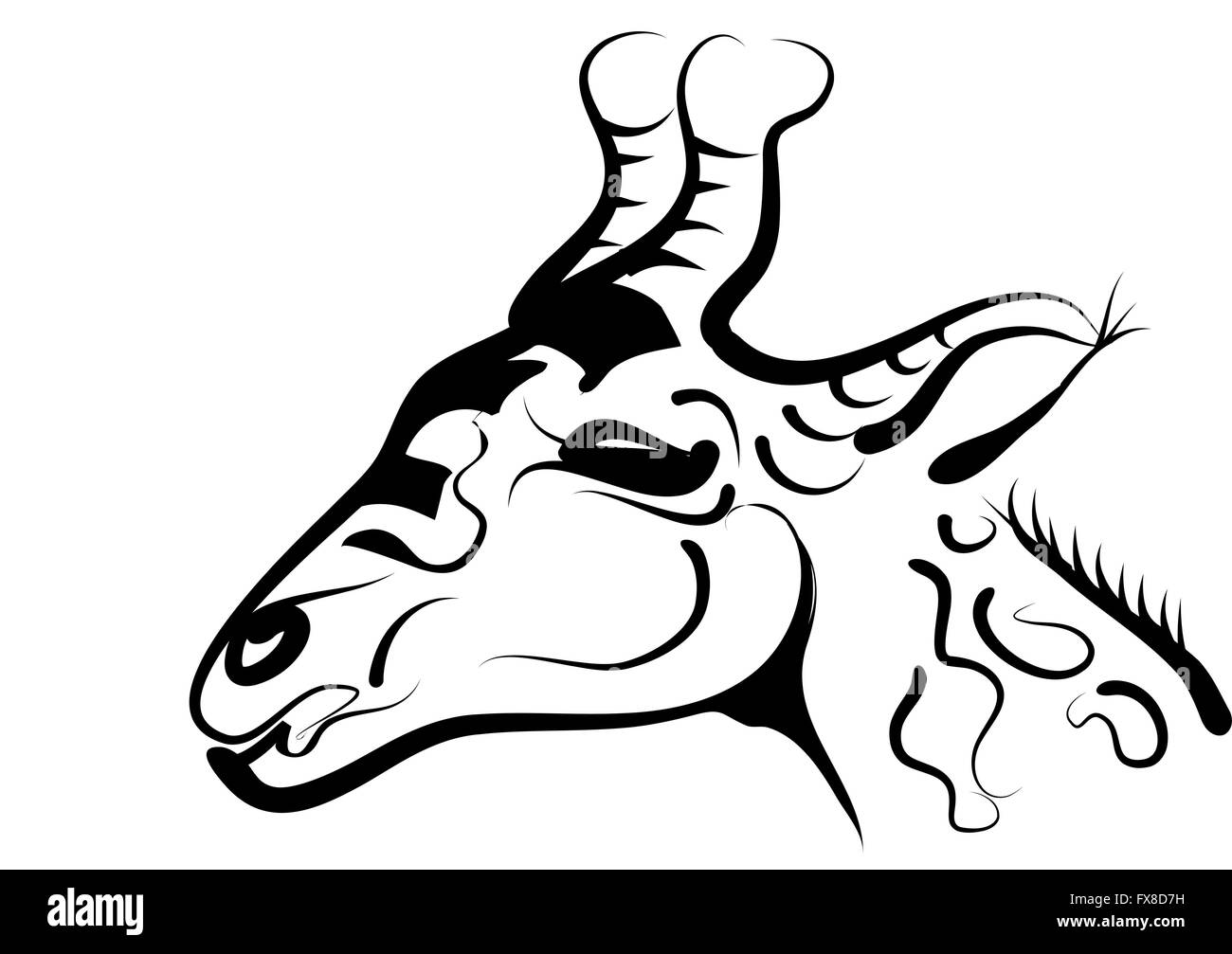 Südafrika-Giraffen Stockfoto