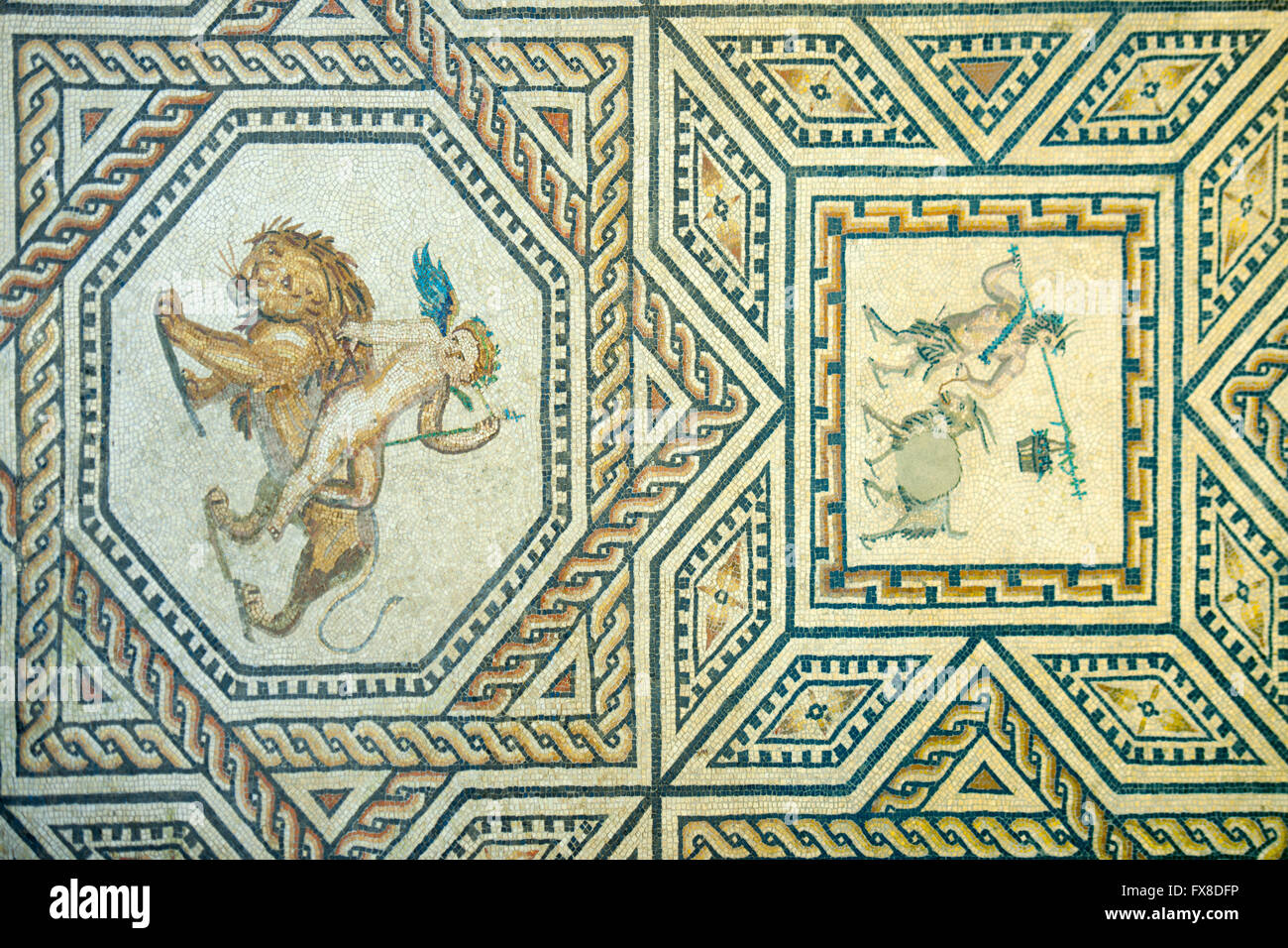 Köln, Buchforst, Römisch-Germanisches Museum, Roncalliplatz Dionysosmosaik, ca. 220/230 n. Chr., Erote, Auf Einem Löwen reiten Stockfoto