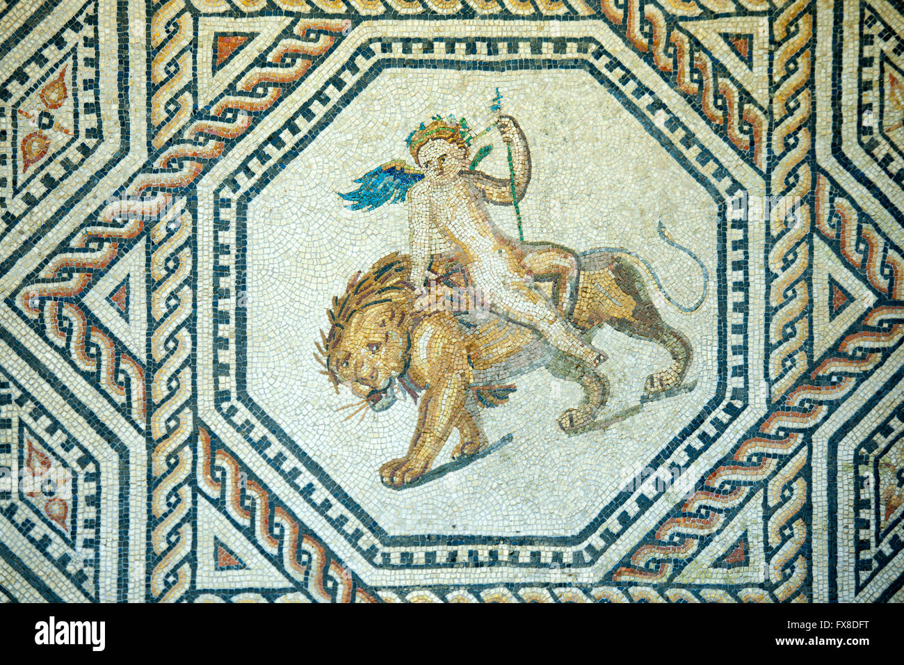 Köln, Buchforst, Römisch-Germanisches Museum, Roncalliplatz Dionysosmosaik, ca. 220/230 n. Chr., Erote, Auf Einem Löwen reiten Stockfoto
