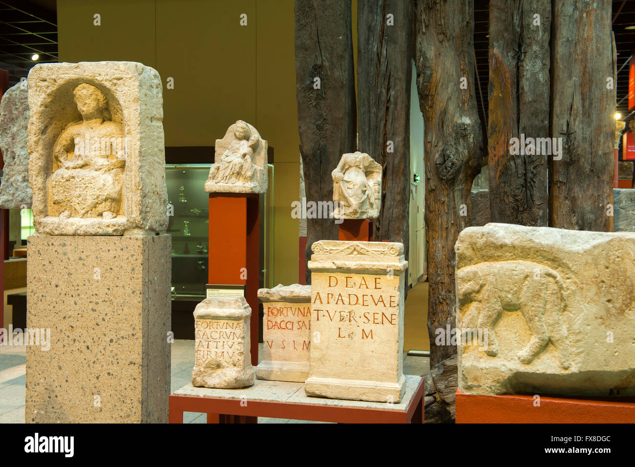 Köln, Buchforst, Römisch-Germanisches Museum, Roncalliplatz Grabstele Und Inschriftensteine Stockfoto