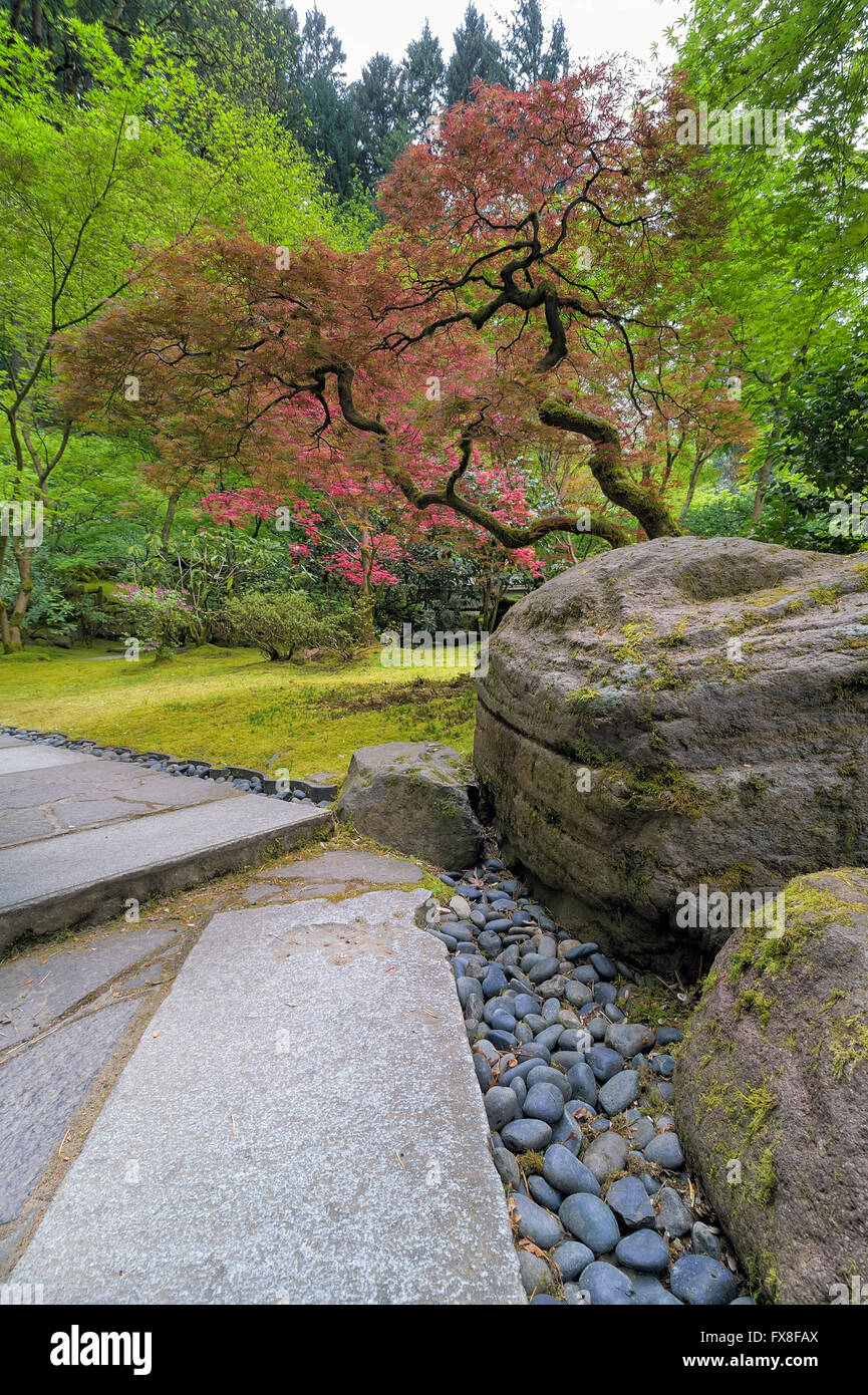 Rot-Ahornbäume durch große Landschaft Felsen entlang Steinweg am japanischen Garten im Frühjahr Stockfoto