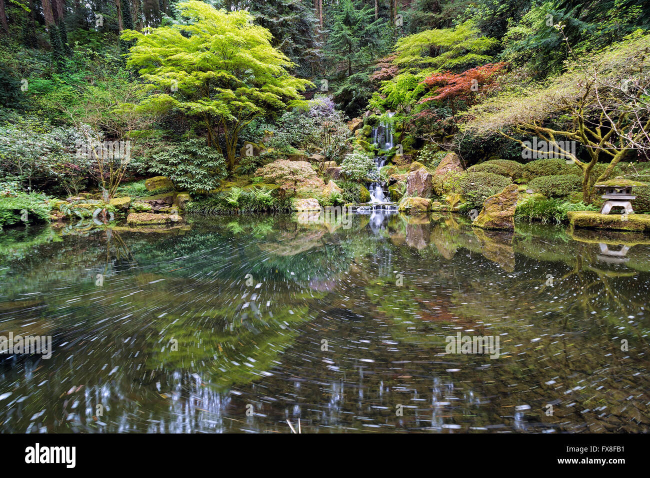 Heavenly fällt und die swirly Teich am Portland Japanese Garden im Frühling Stockfoto