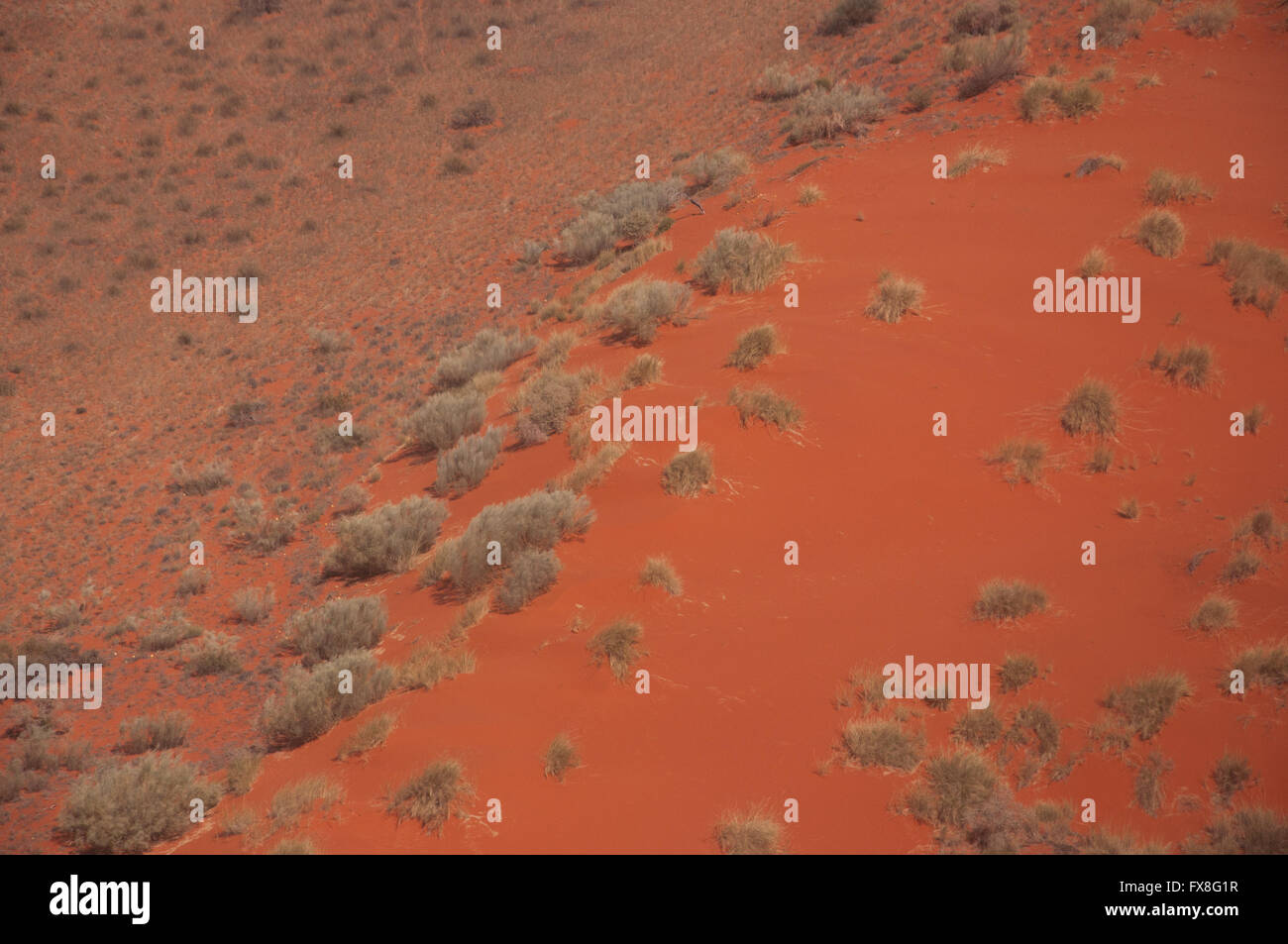 Kalahari red Sand, aufgenommen aus einem Hubschrauber auf dem Überführungsflug von Upington und Keetmanshoop. Stockfoto