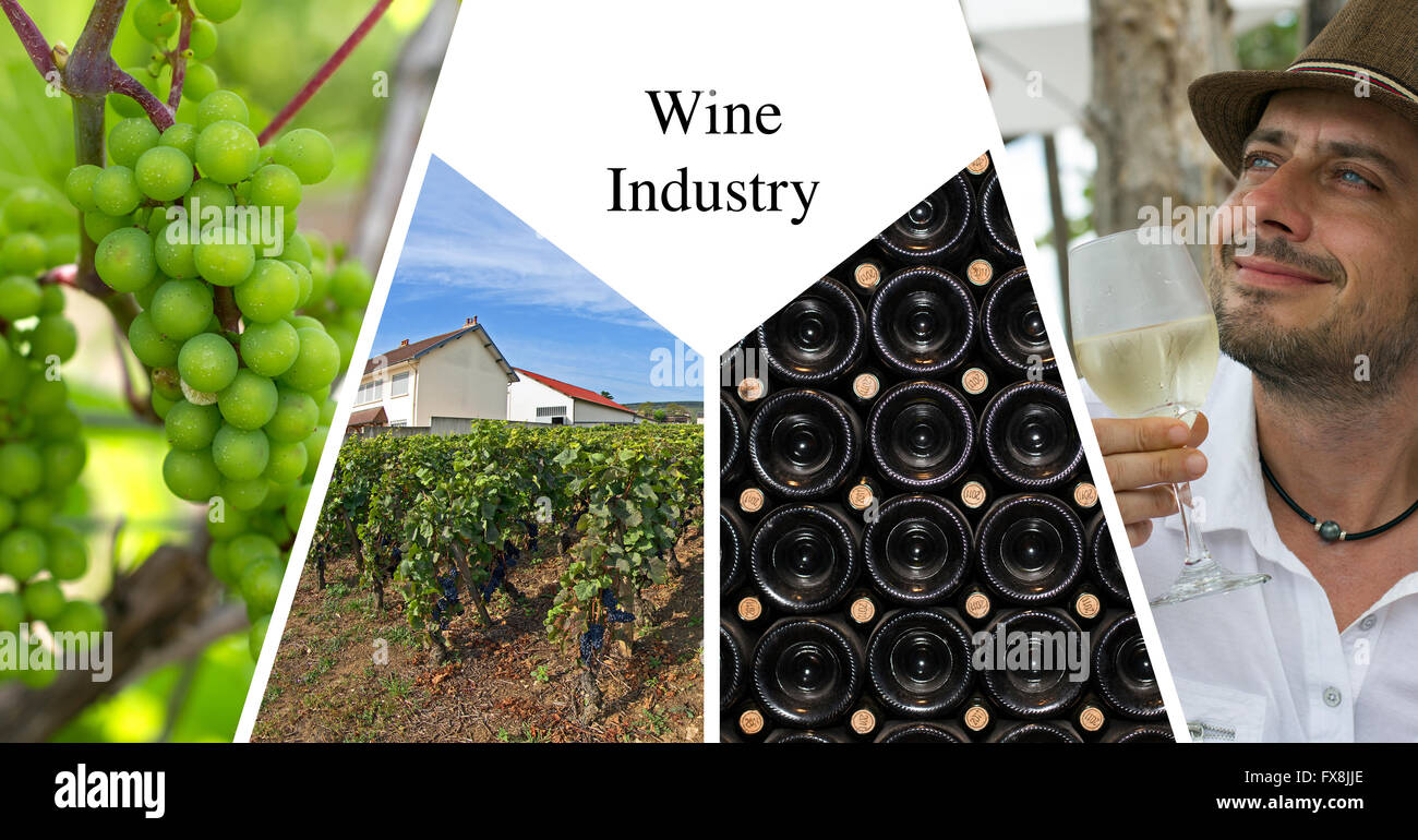Wein-Industrie Stockfoto