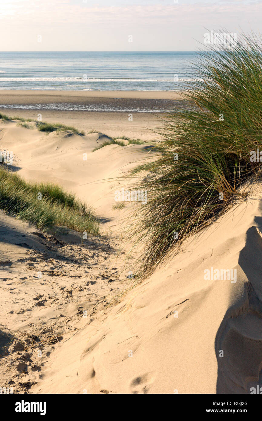Große Sandstrände neben Ynyslas Sand Dünen Cardigan Bay Ceredigion Teil des Dyfi National Nature Reserve an der Grenze. Stockfoto