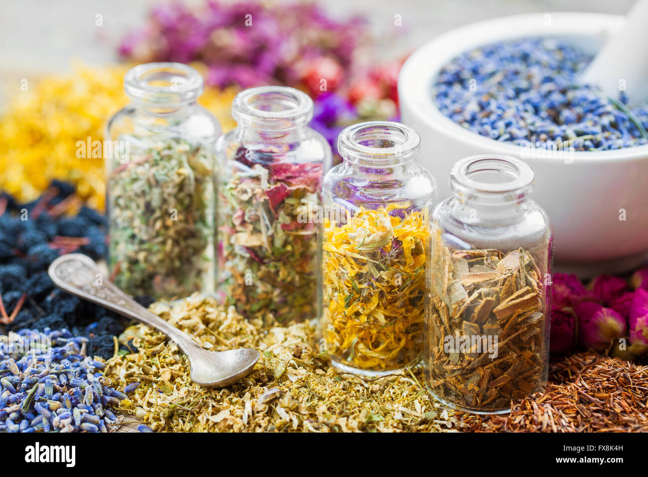 Flaschen mit heilenden Kräutern und Mörtel mit trockener Lavendel Blumen, Kräutermedizin. Stockfoto