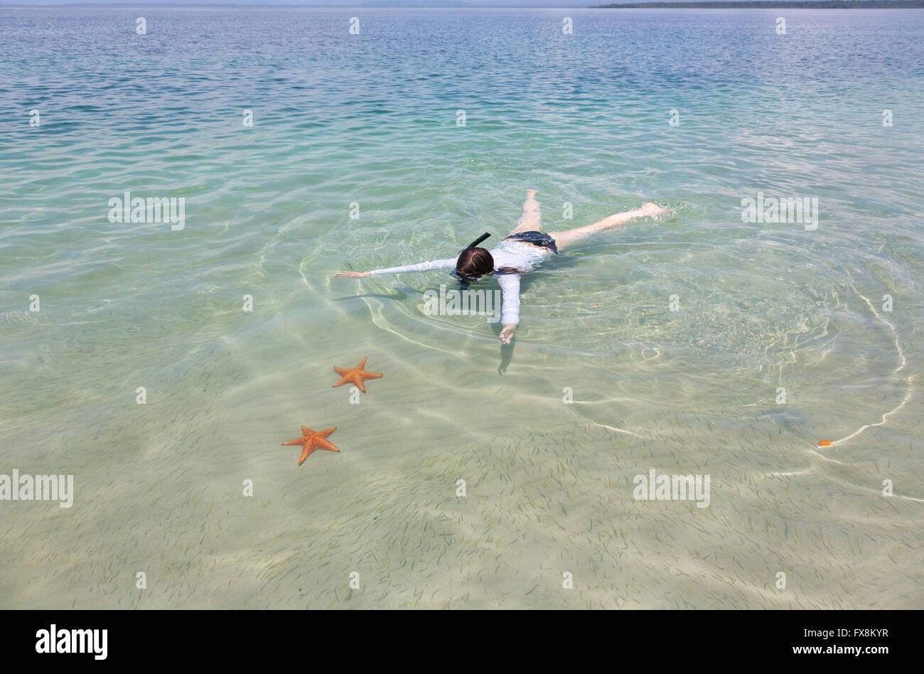 Frau Schnorcheln im transparenten Meer über Seesterne, Panama Stockfoto