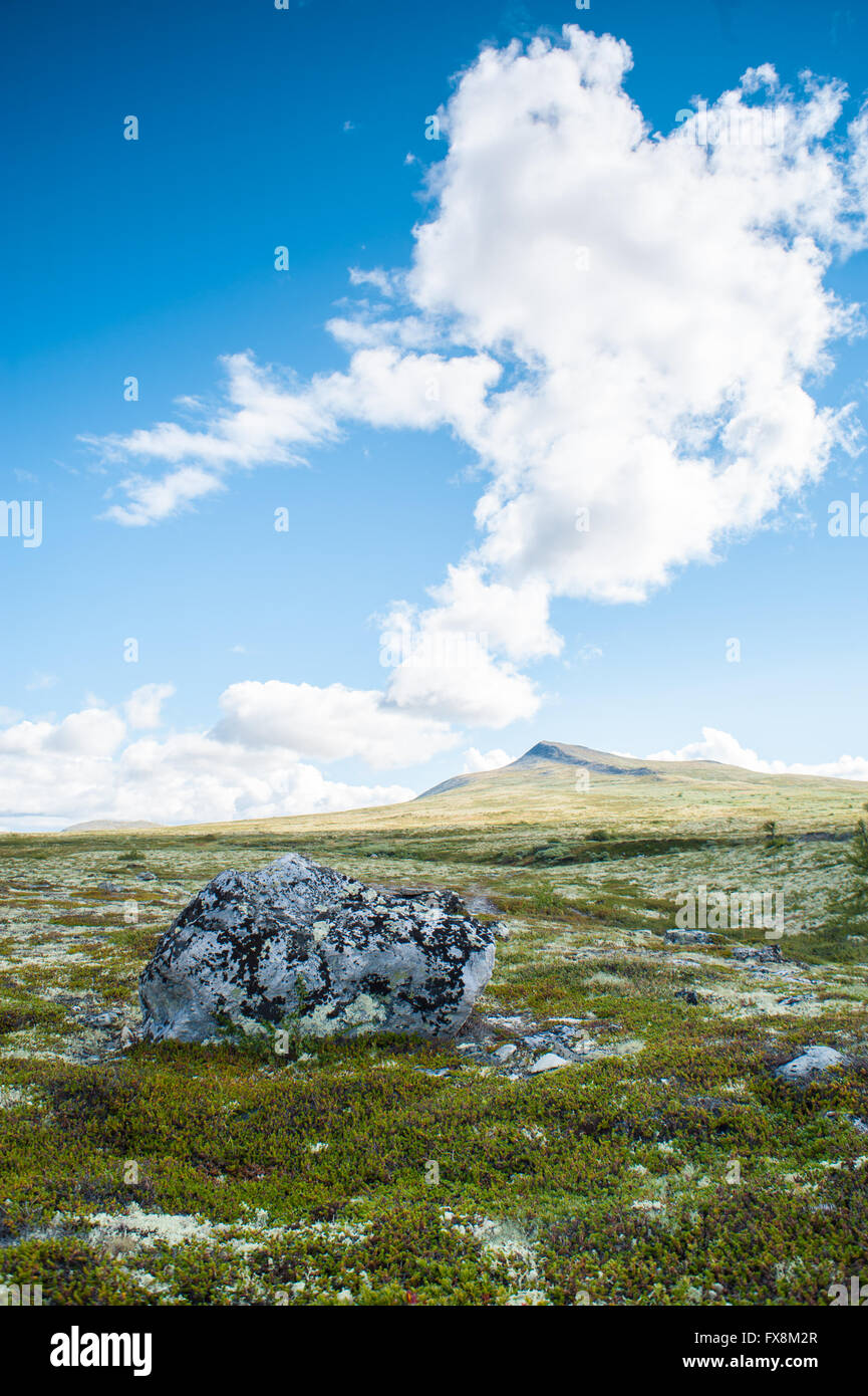 Offene norwegischen Ebene mit kleinen Berg in der Ferne, in kleinen Rasen, weiches Moos, Flechten und ein großer Stein Stein bedeckt Stockfoto