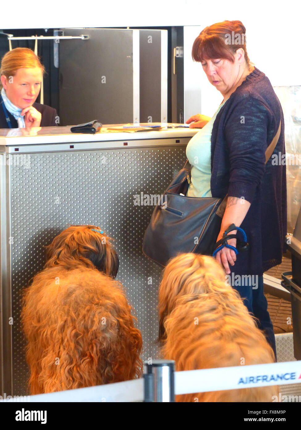 Passagier Reisen mit ihrem Hund Begleiter Stockfoto