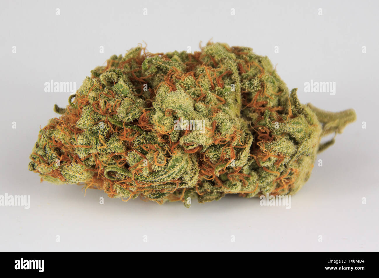 medizinisches Marihuana Knospe isoliert auf weißem Hintergrund, Cannabis-Makro Stockfoto