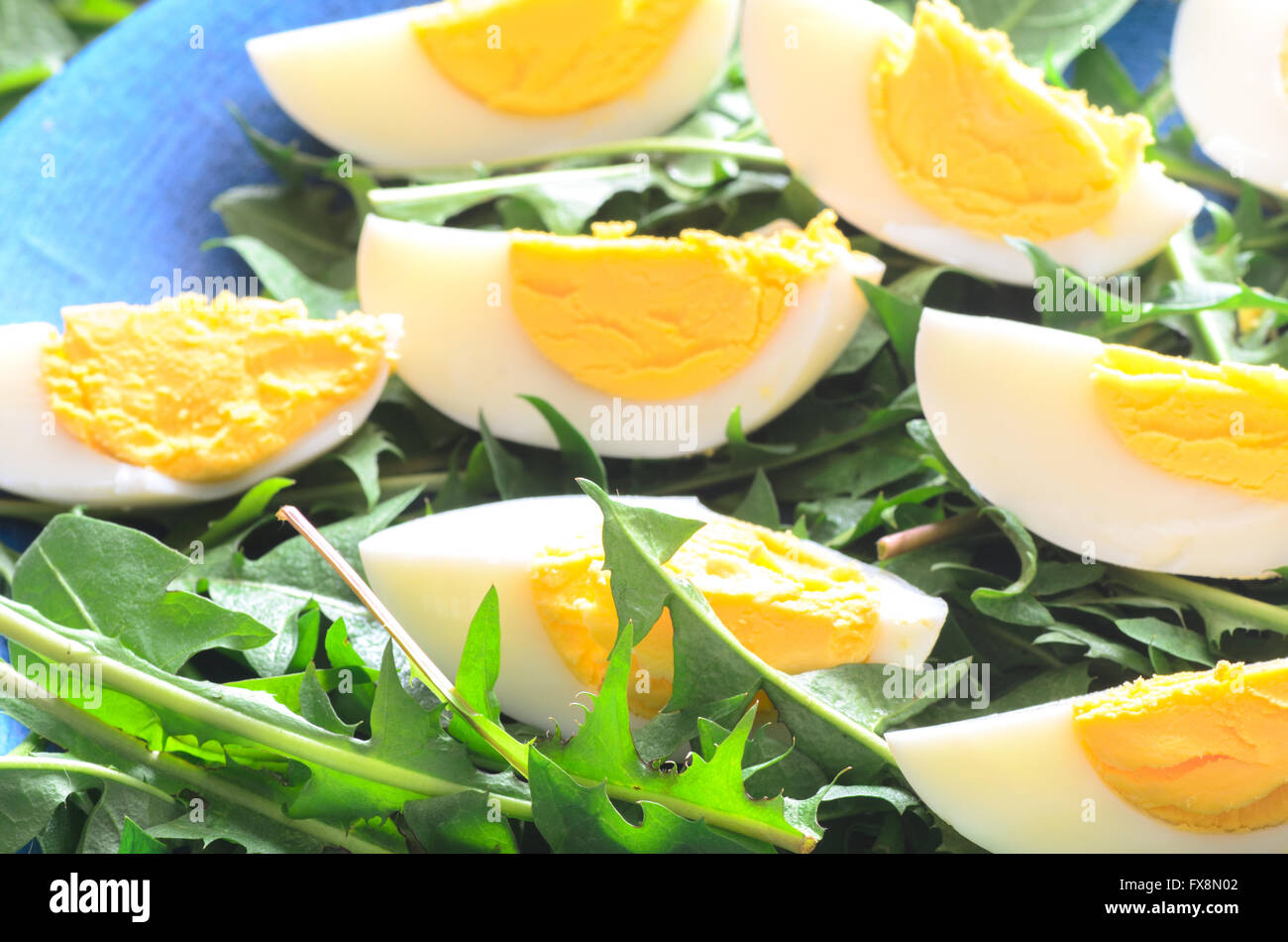 gekochten Eiern mit grüner Dundelion Blätter Stockfoto