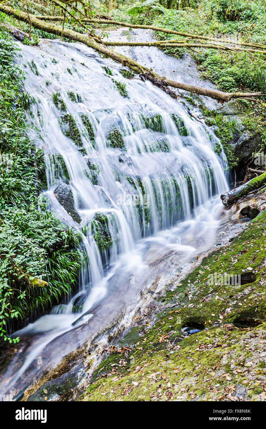 Wasserfall im immergrünen Wald Hügel Stockfoto
