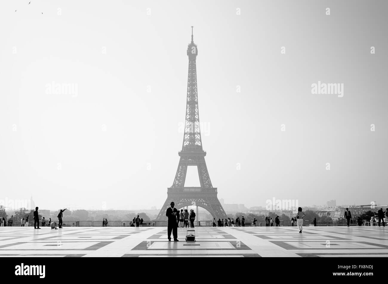 Frühen Morgenlicht auf dem Eiffelturm in Paris - Frankreich Stockfoto