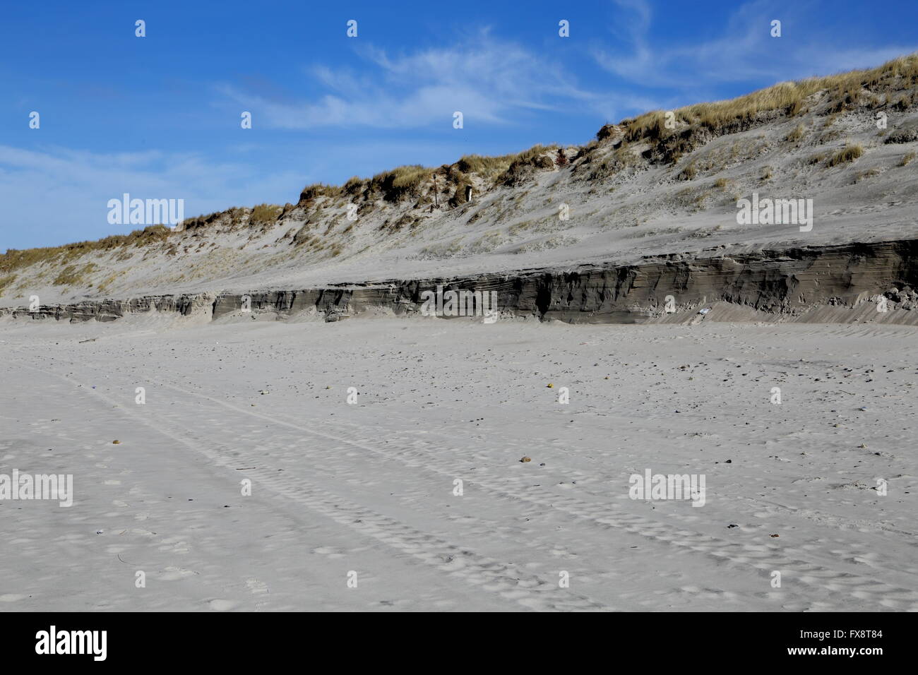 Dünen in der Nähe von Hvide Sande, Dänemark, nachdem der Sturm und Wellen die Düne erodiert haben.  Spuren der ehemaligen Sandverwehungen t entnehmen Stockfoto