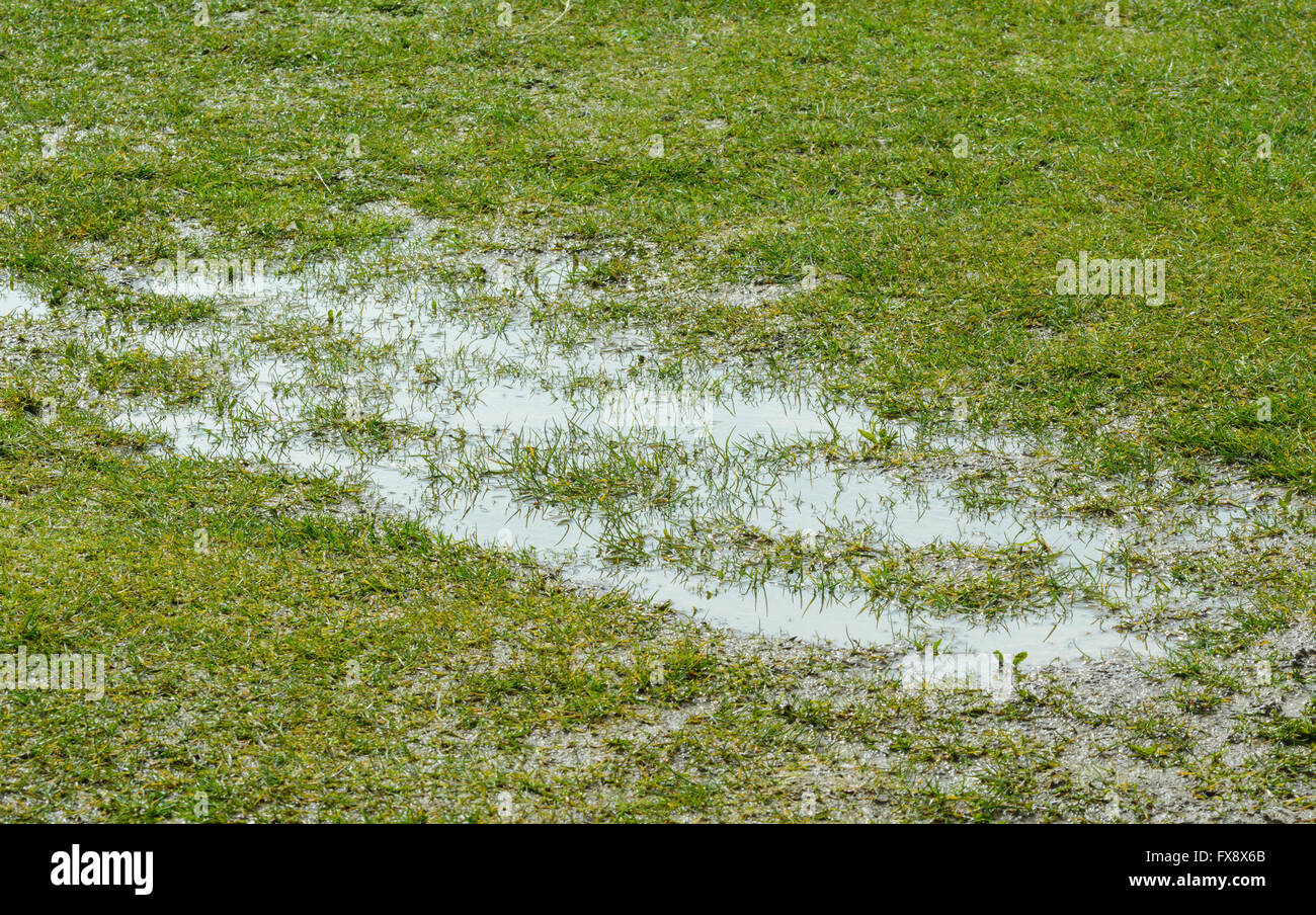 Pfützen in einem überschwemmten Feld aus Gras nach starkem Regen. Stockfoto