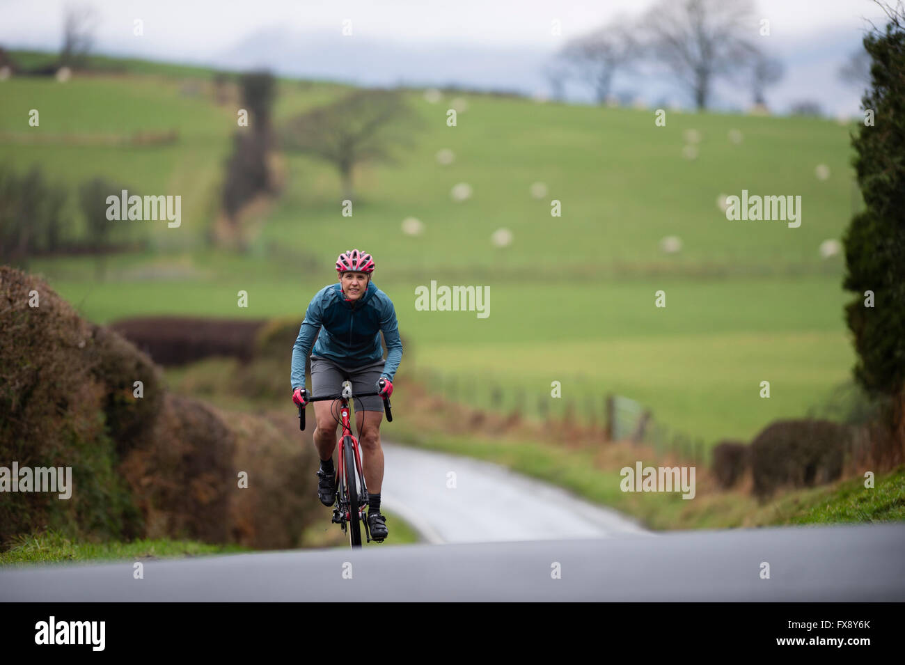 Eine Frau, Radfahren In den Hügeln rund um Machynlleth, Powys, Wales UK Stockfoto