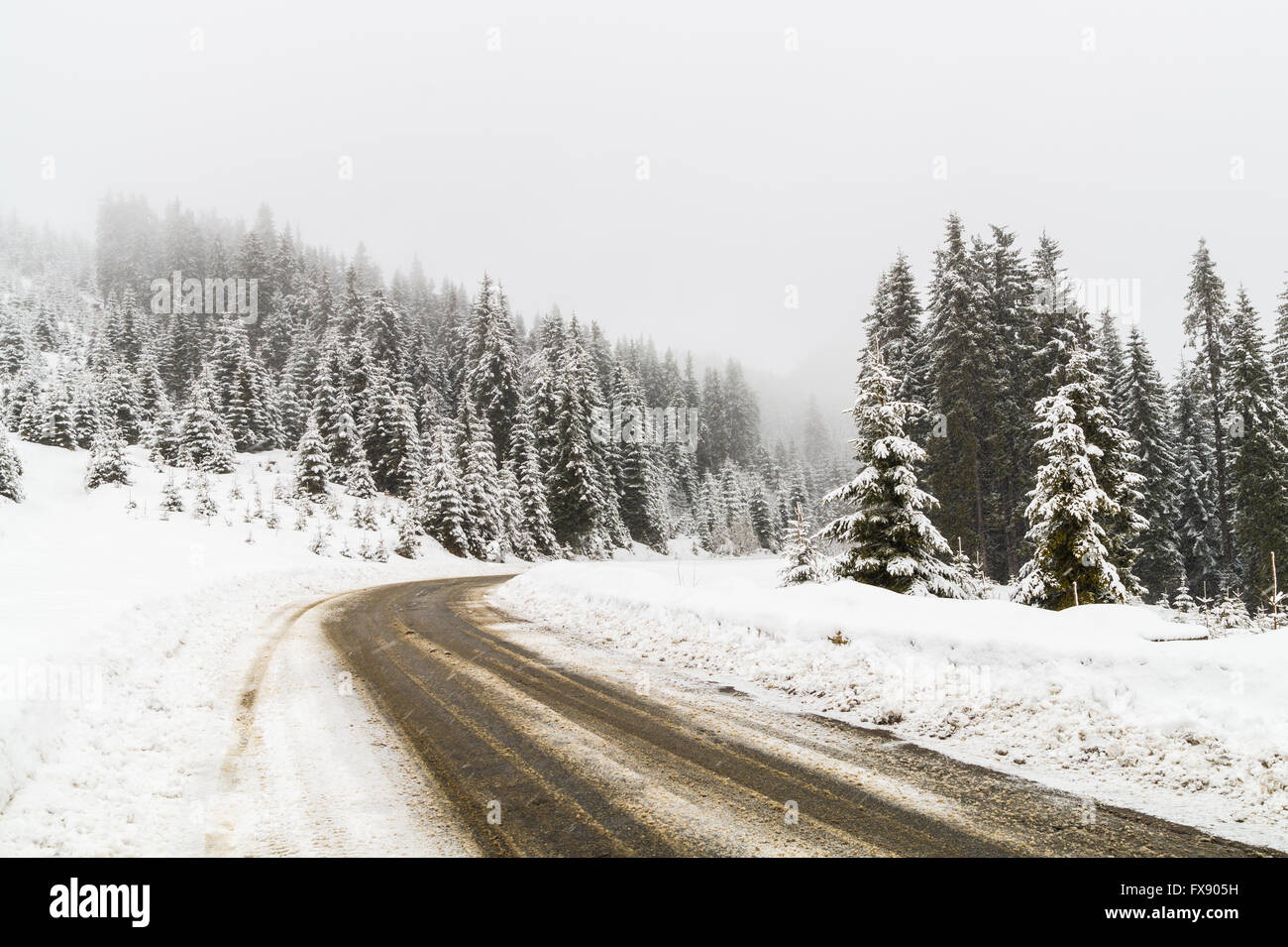 Straße in Winterlandschaft neben Voineasa, Rumänien Stockfoto