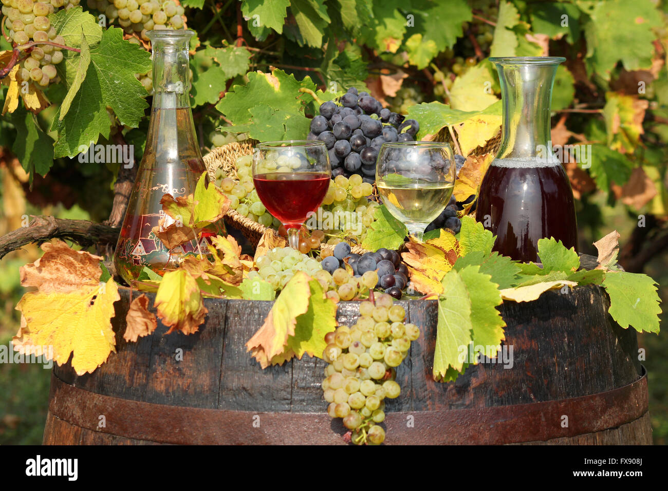 rote und weiße Herbst Weinszene Stockfoto