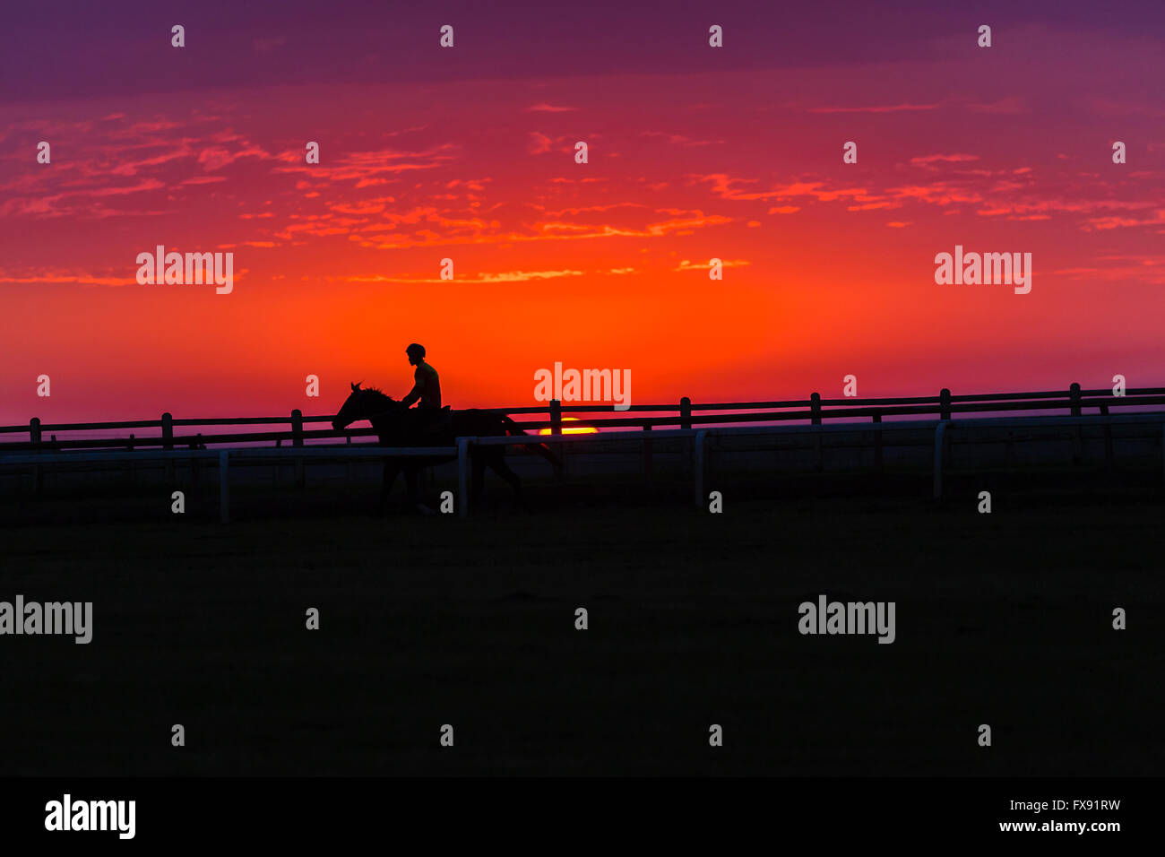 Rennen Pferde Reiter auf Training verfolgen Silhouette Foto bei Dawn Sonnenaufgang malerische Lebensstil Landschaft. Stockfoto