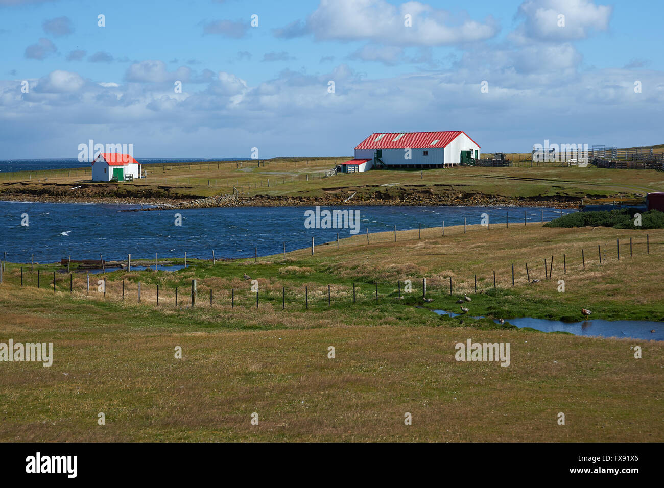 Wirtschaftsgebäude auf Bleaker Island in den Falkland-Inseln Stockfoto