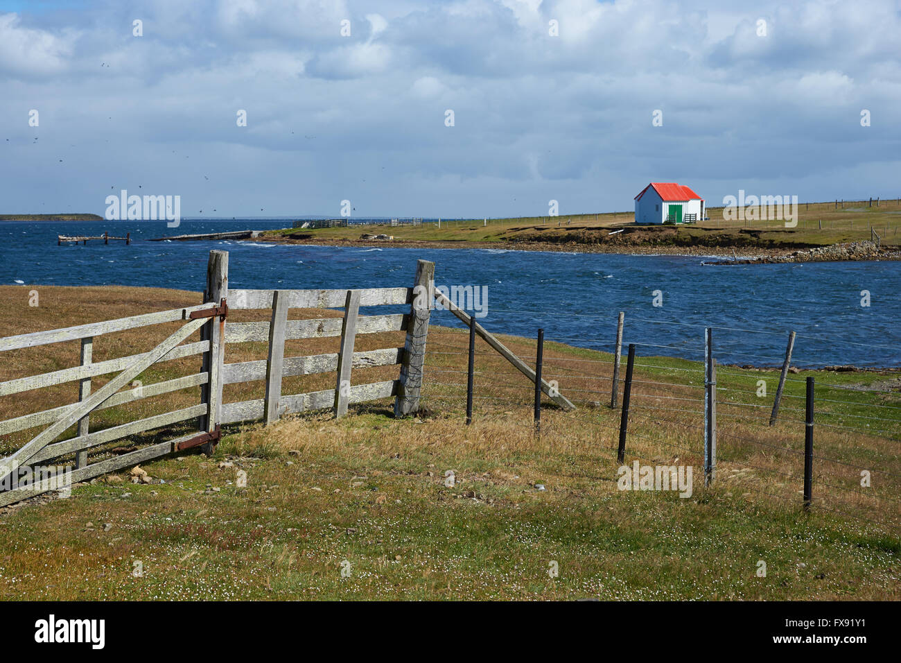 Wirtschaftsgebäude auf Bleaker Island in den Falkland-Inseln Stockfoto