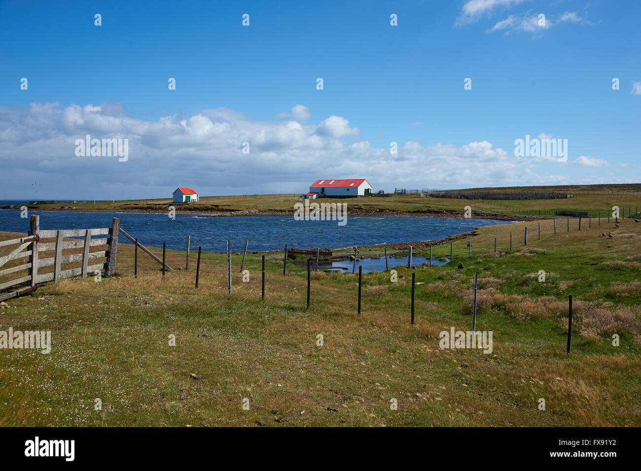Wirtschaftsgebäude auf Bleaker Island in den Falkland-Inseln Stockfoto