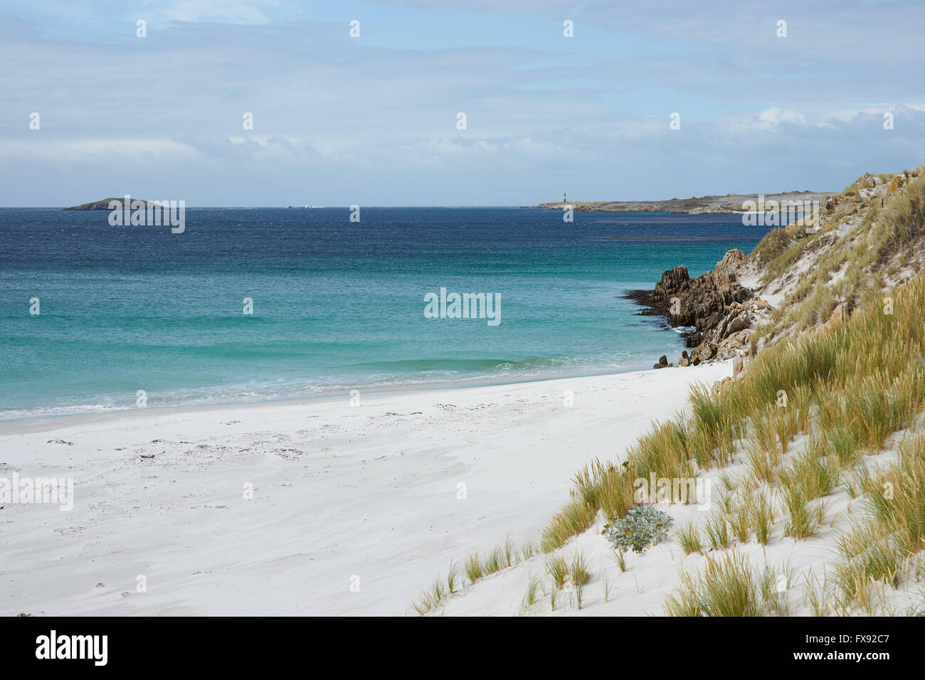 Weißen Sandstrand in Yorke Bay in der Nähe von Stanley, Hauptstadt der Falkland-Inseln. Stockfoto