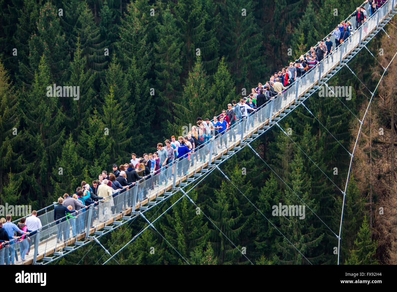 Hängebrücke-Geierlay, zwischen den Dörfern Mörsdorf und Sosberg, 360 Meter lang, die längste Hängebrücke in Deutschland Stockfoto