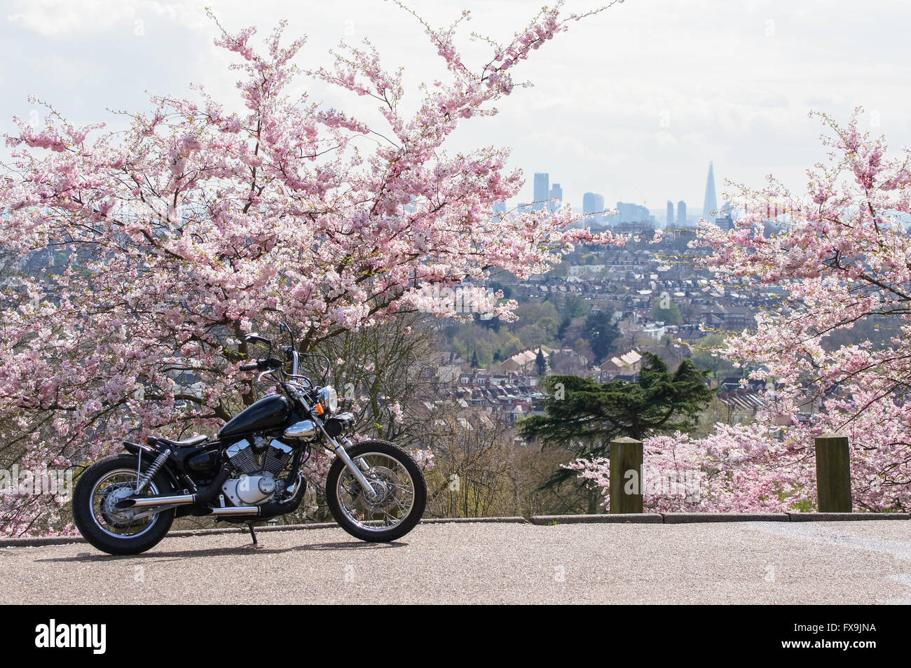 Sonniges Wetter im Alexandra Palace, London England Vereinigtes Königreich UK Stockfoto