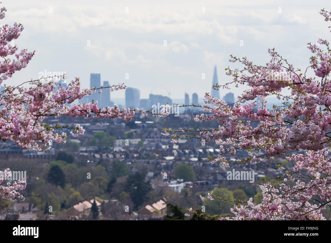 Sonniges Wetter im Alexandra Palace, London England Vereinigtes Königreich UK Stockfoto