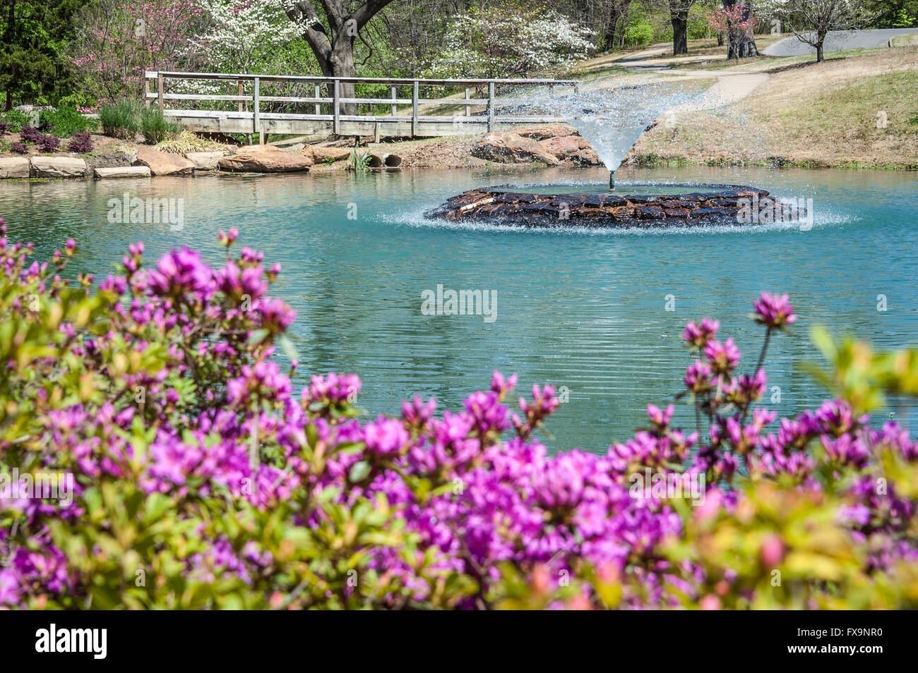 Frühling im Honor Heights Park in Muskogee, Oklahoma, USA. Stockfoto