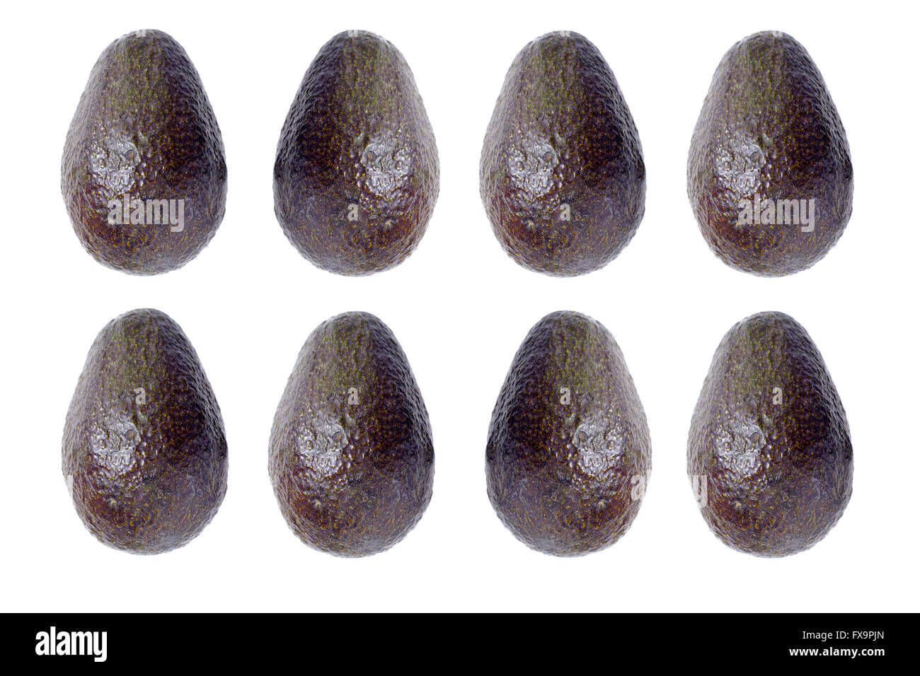 Reihen von Reife Avocados vor weißem Hintergrund fotografiert. Stockfoto