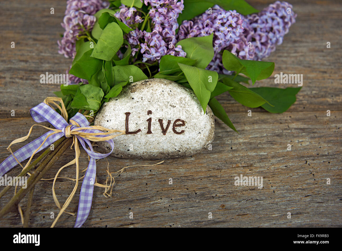 Lila Bouquet mit inspirierende Botschaft auf einem Stein. Stockfoto