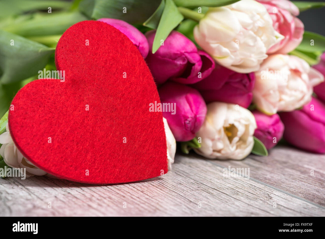 Tulpen mit Liebe Stockfoto