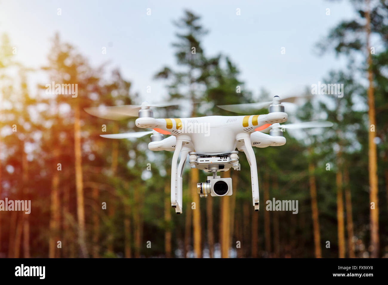 Drohne fliegen auf einem Hintergrund von Waldbäumen Stockfoto