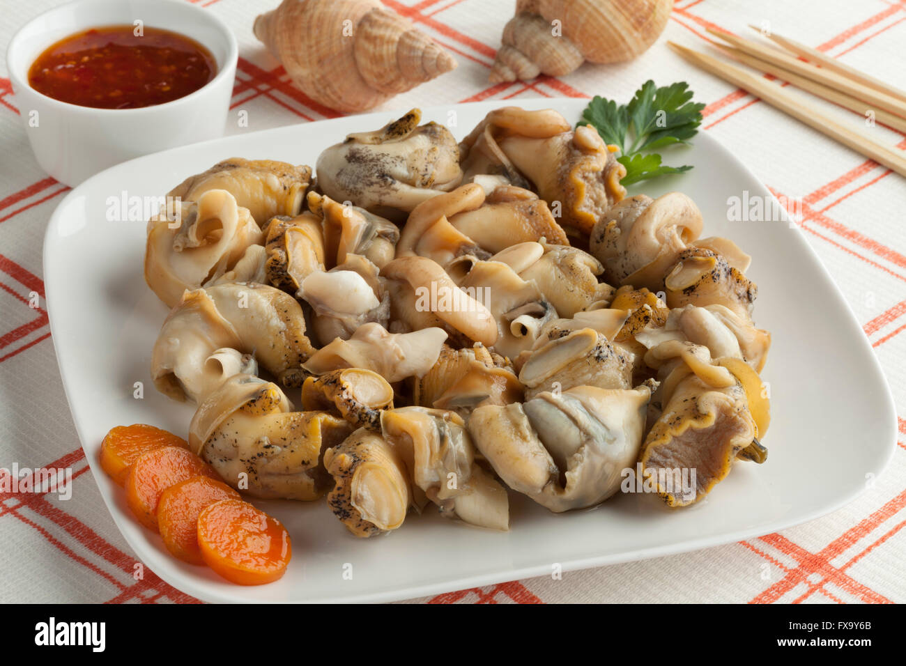 Frisch gekocht gemeinsame Wellhornschnecken auf einem Teller Stockfoto