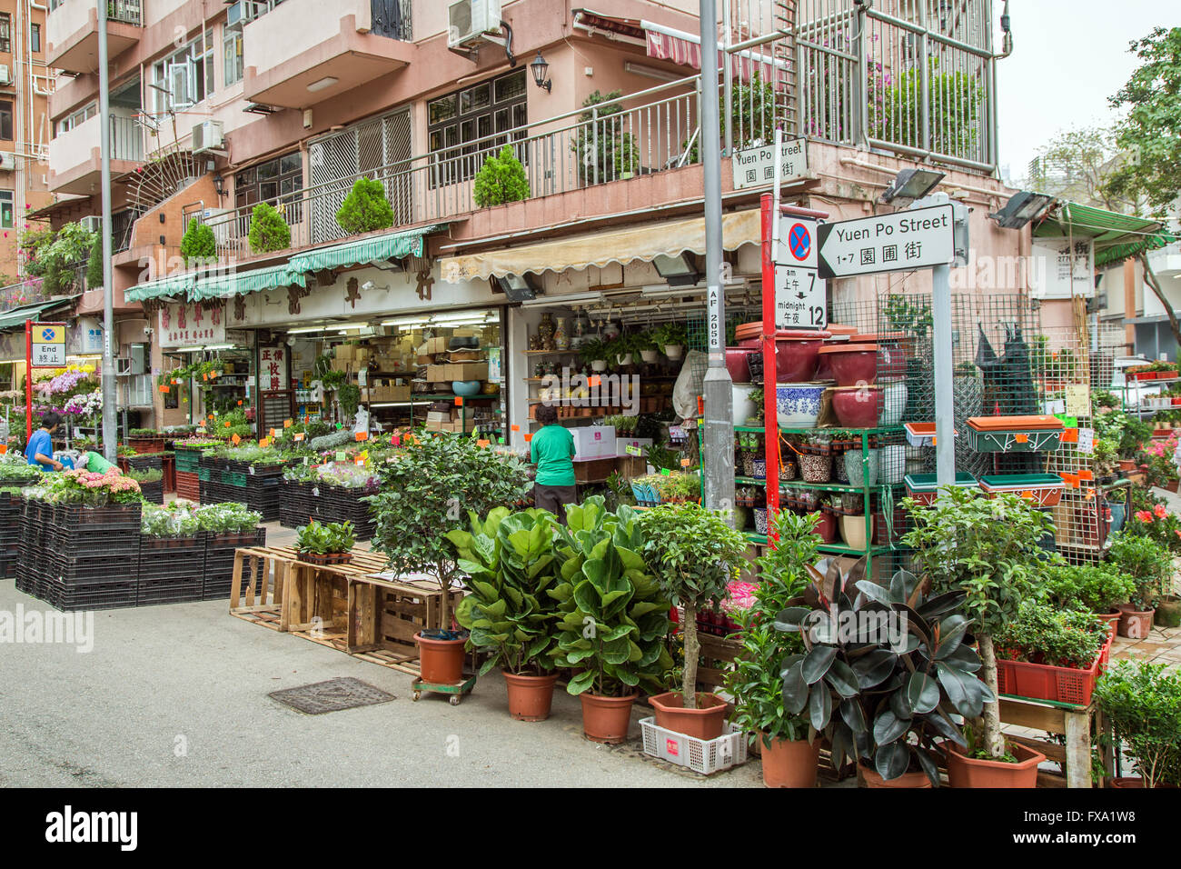 Viele Blumen und Pflanzen an der Flower Market Road in Kowloon in Hong Kong, China. Stockfoto