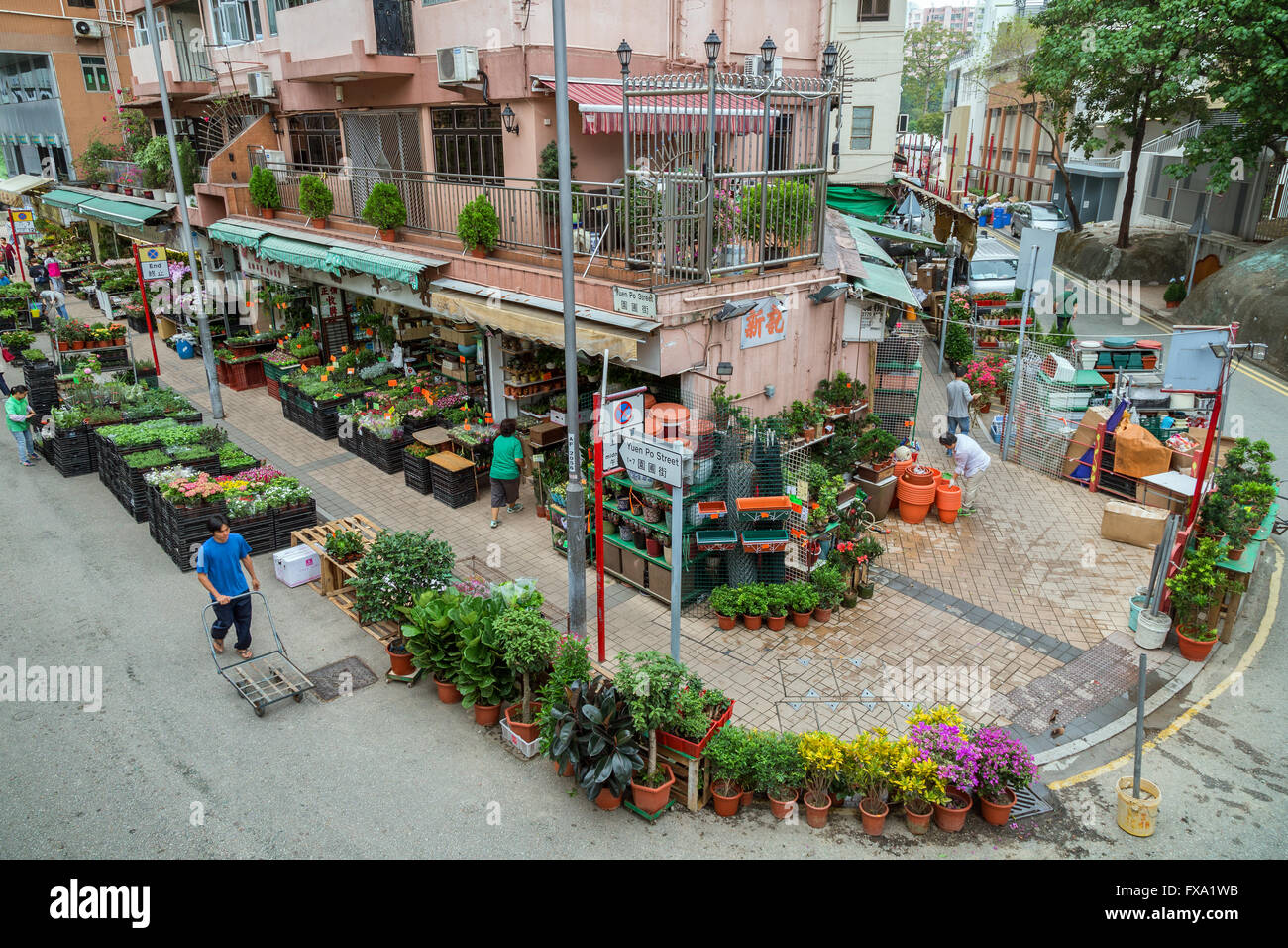Flower Market Road in Kowloon in Hong Kong, China, von oben gesehen. Stockfoto