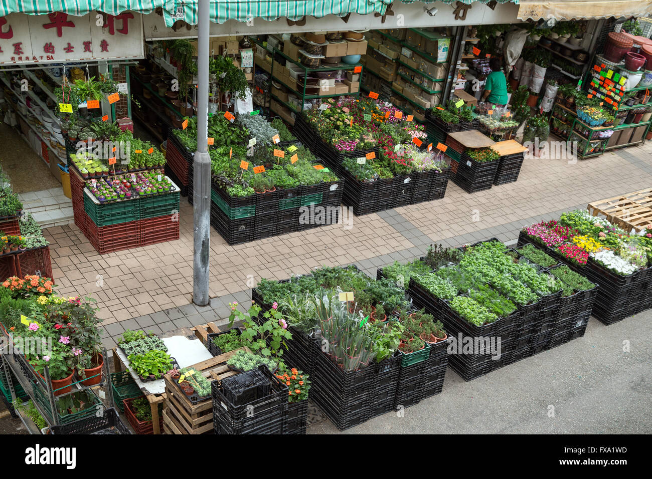 Flower Market Road in Kowloon in Hong Kong, China, von oben gesehen. Stockfoto