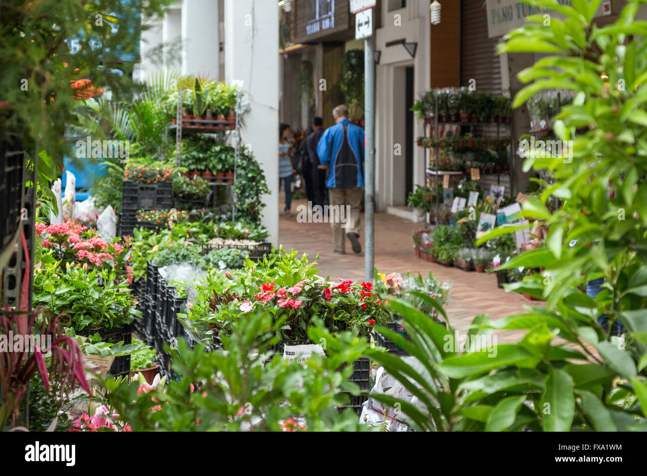 Viele Blumen und Pflanzen und zwei Verkäufer an der Flower Market Road in Kowloon in Hong Kong, China. Stockfoto