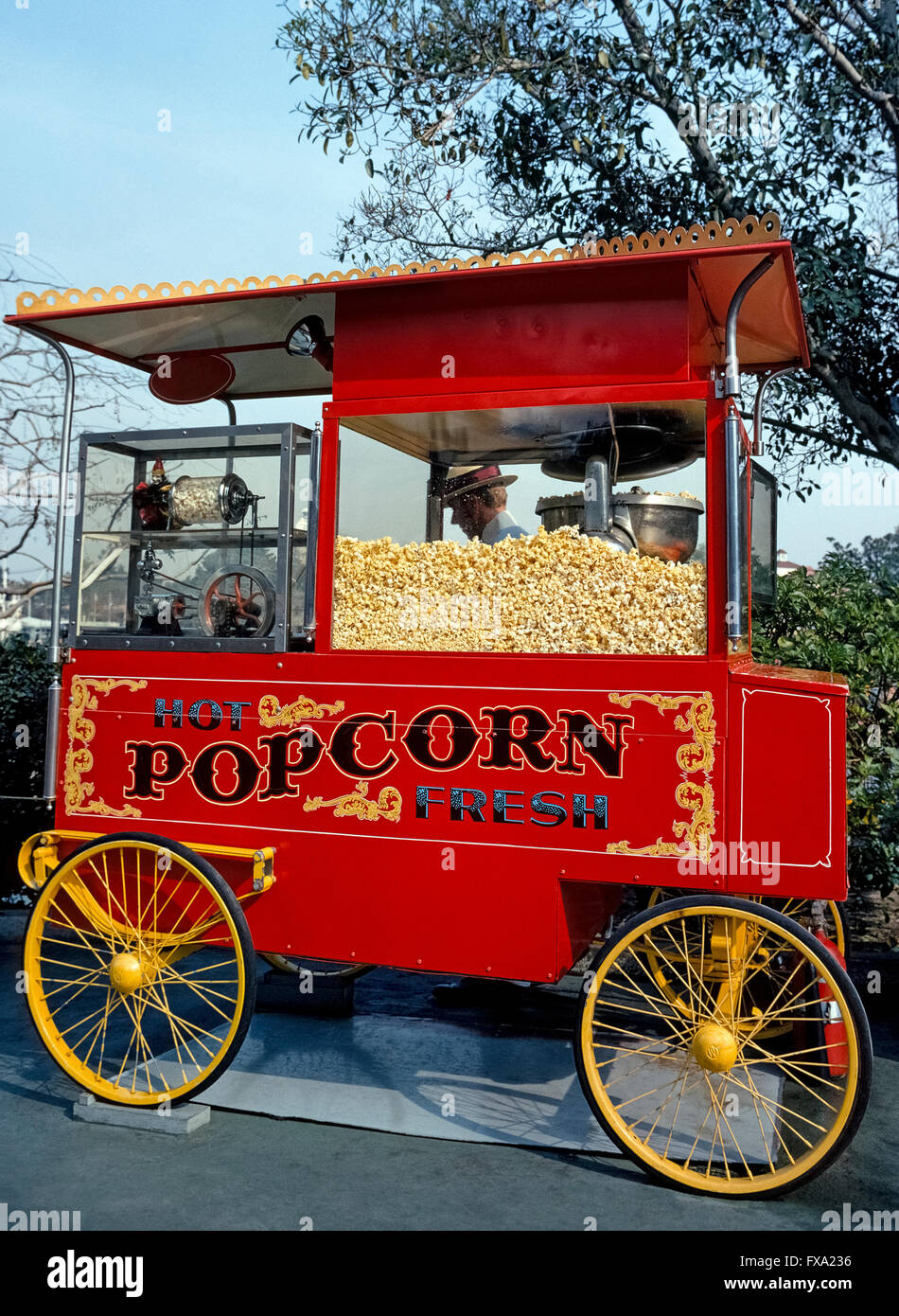 Popcorn ist wurde Amerikas Lieblings-Snack Essen seit mehr als einem Jahrhundert und oft frisch hergestellt und verkauft von bunt bemalten Popcorn-Wagen in den meisten Vergnügungs- und Themenparks im ganzen Land gefunden. Kleinere Popcorn vending Karren und tragbare Geräte sind im Kinos bundesweit verbreitet. Knallend Mais hat einen harten Rumpf, der Feuchtigkeit im Kernel hält, bis es beheizt ist und Druck um zu machen, in ein weißes und flauschige explodieren baut behandeln, die bereit ist, zu essen. Seine Popularität in den Vereinigten Staaten wurde bestätigt, als Illinois das offizielle staatliche Snack Essen Popcorn gemacht. Stockfoto