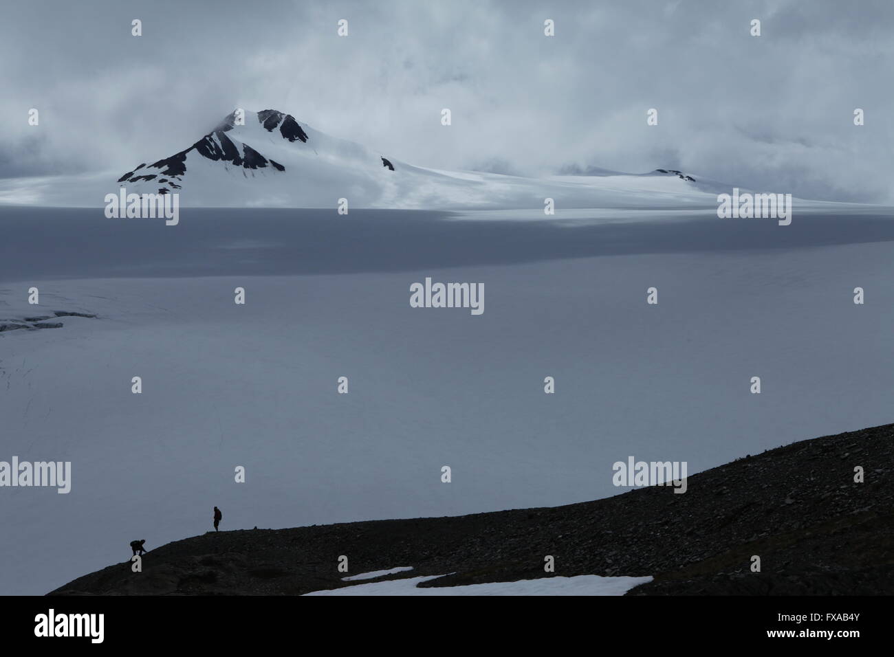 Blick vom Harding Icefield Trail Stockfoto