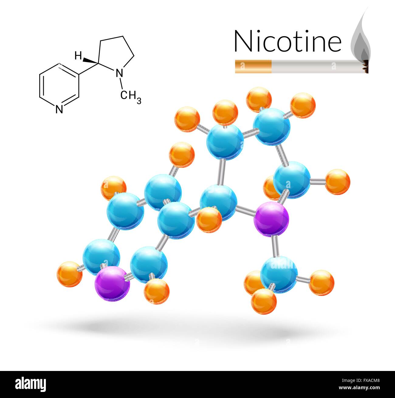 Nikotin-Molekül 3d Stock Vektor