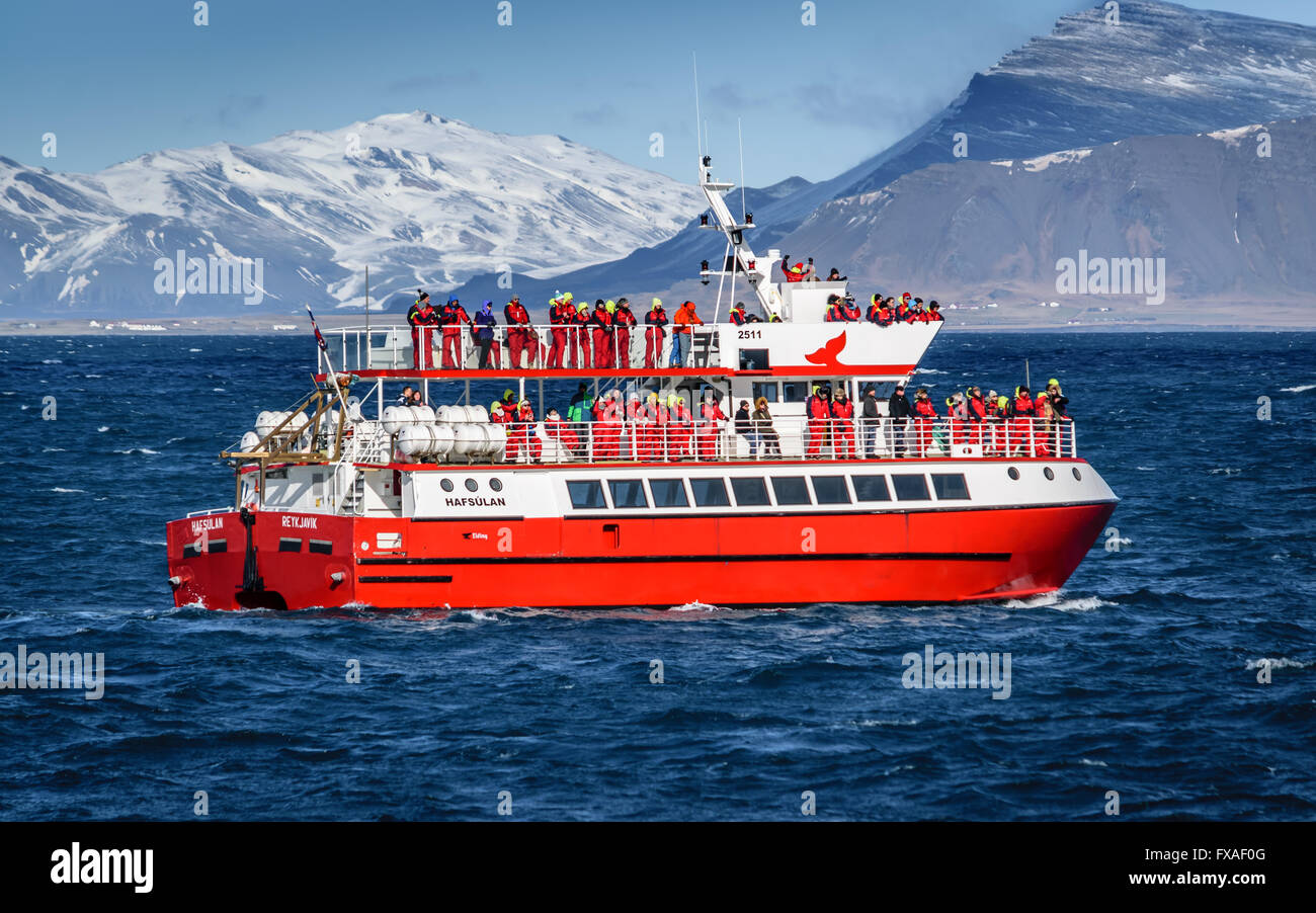 Reisenden und Touristen auf eine Whale-watching Tour an Bord in der Faxafloi Bucht, Reykjavik Island Stockfoto