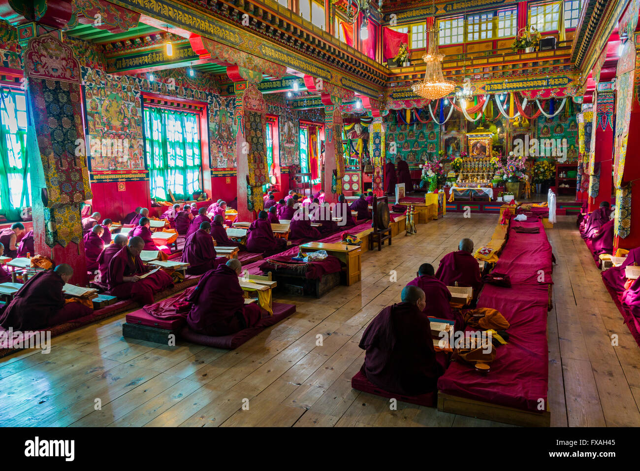 Viele Mönche und Nonnen sind im Inneren des Klosters Thupten Chholing Gompa, Junbesi, Solo Khumbu, Nepal beten. Stockfoto