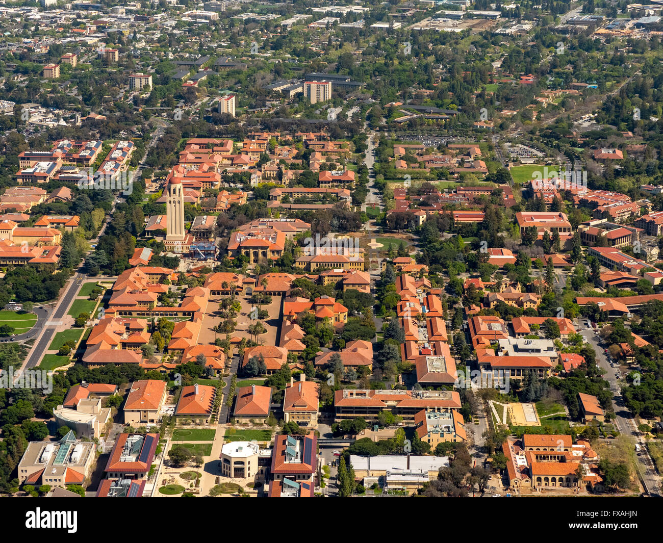 Universität Campus Stanford Universität mit Hoover Tower, Palo Alto, Kalifornien, Silicon Valley, Kalifornien, USA Stockfoto