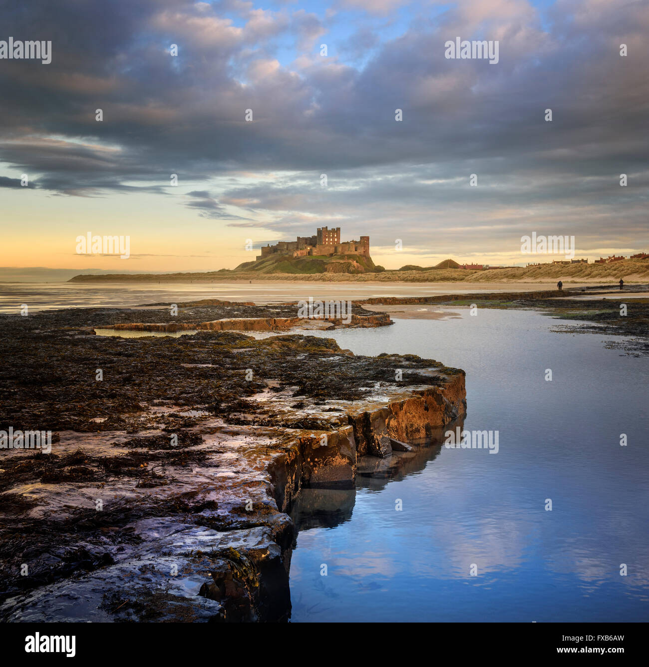 Bamburgh Castle in der Abend-Sonne Stockfoto